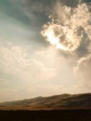 沙雕室友的日常